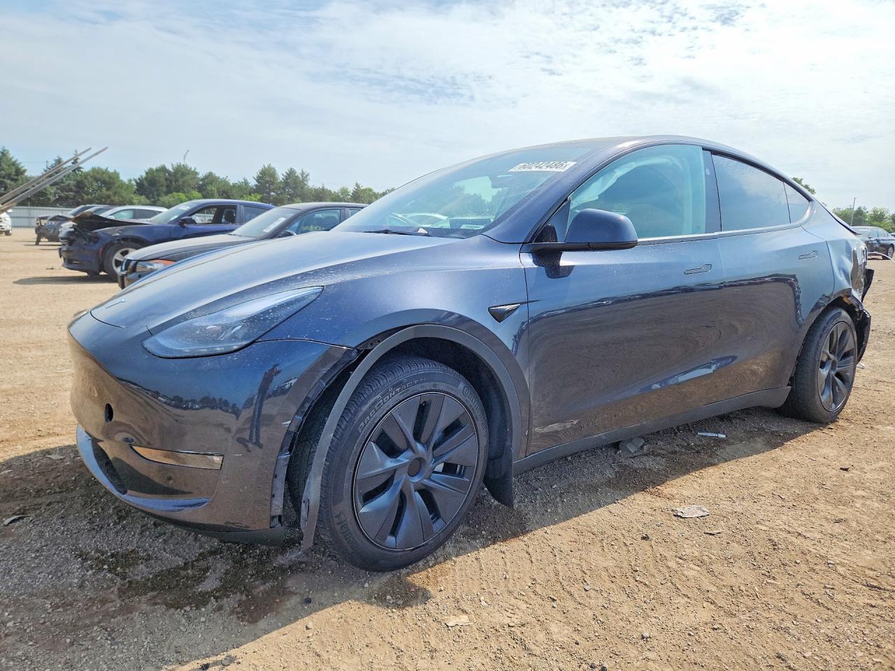2025 TESLA MODEL Y | 7SAYGDEE0SF217243 | UPCARS