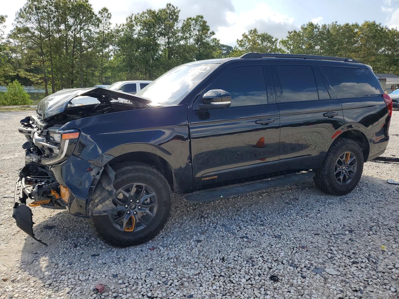 2025 FORD EXPEDITION TREMOR | 1FMJU1RG1SEA43276 | UPCARS