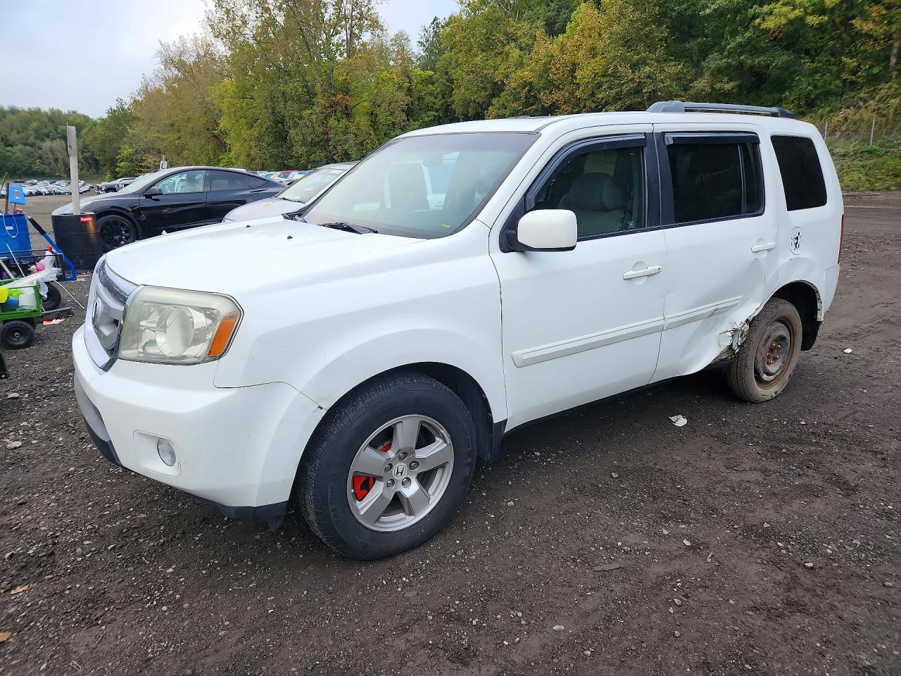 2011 HONDA PILOT EXL | 5FNYF3H55BB006688 | UPCARS