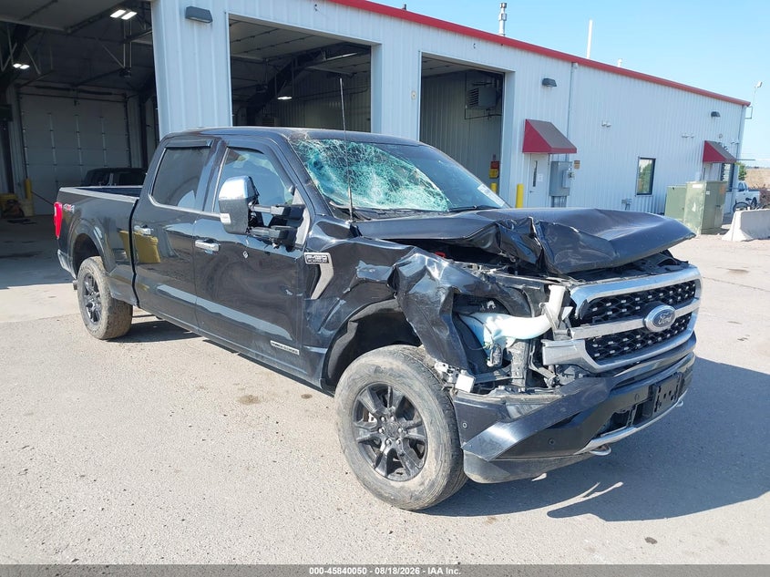 2021 FORD F-150 PLATINUM | 1FTFW1E1XMFB94975 | UPCARS
