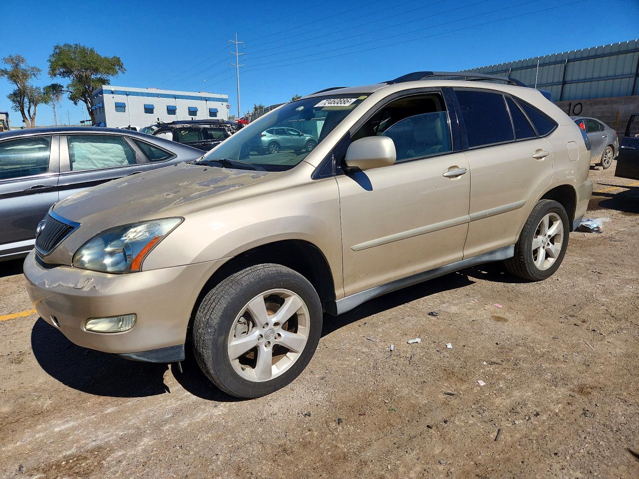 2004 LEXUS RX 330 | 2T2HA31U44C033786 | UPCARS