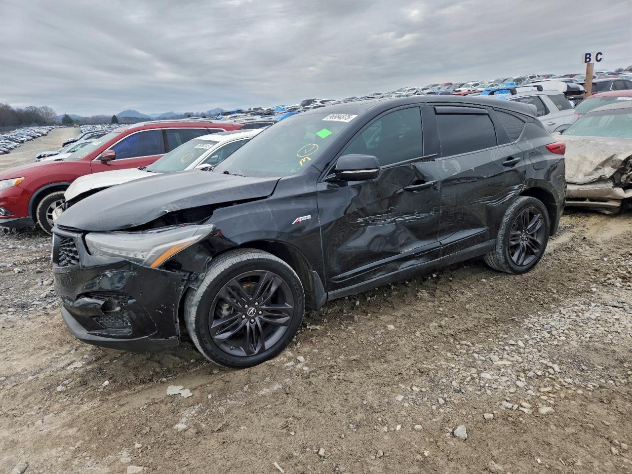 2019 ACURA RDX A-SPEC | 5J8TC2H64KL023261 | UPCARS