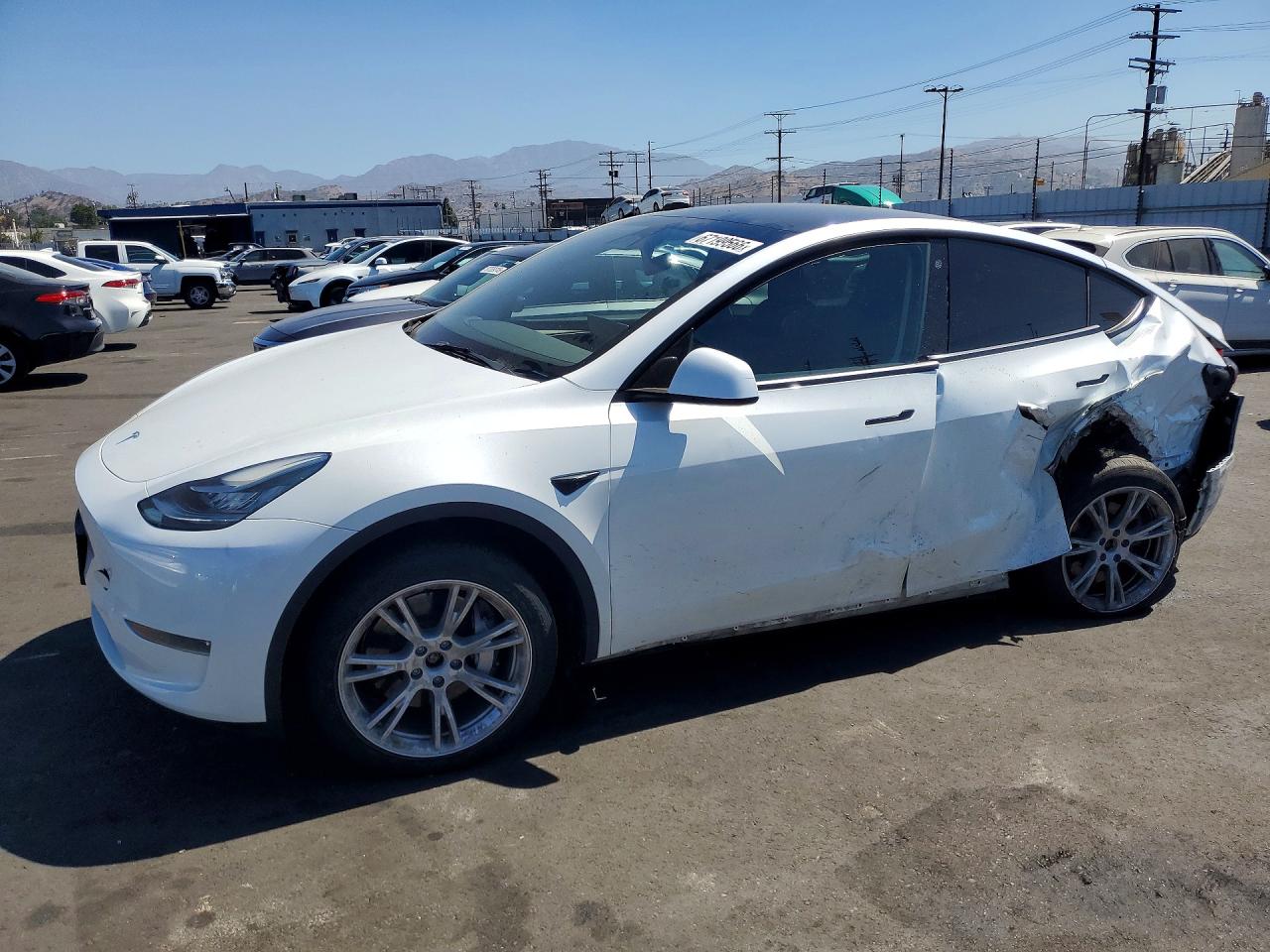 2023 TESLA MODEL Y | 7SAYGDEEXPA079523 | UPCARS