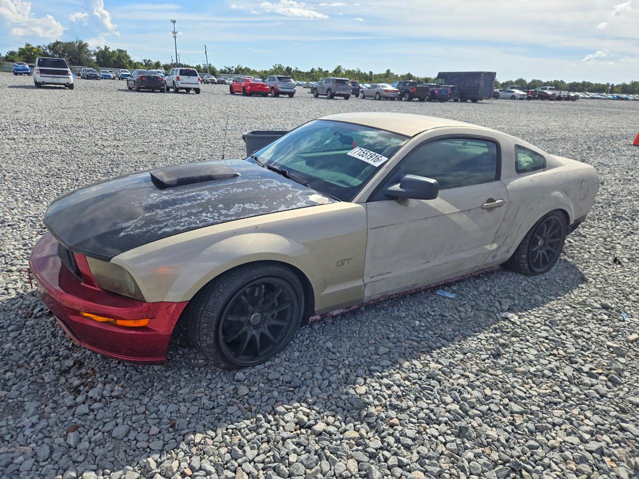 2006 FORD MUSTAN GT | 1ZVFT82HX65173276 | UPCARS