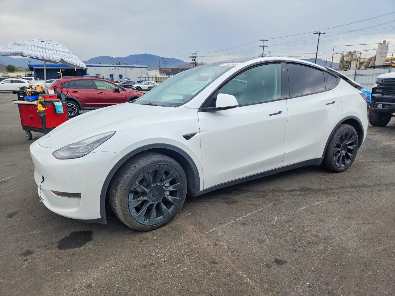 2022 TESLA MODEL Y | 7SAYGDEE7NA010804 | UPCARS