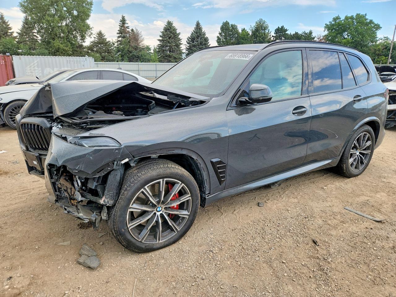 2024 BMW X5 XDRIVE40I | 5UX23EU04R9U75049 | UPCARS
