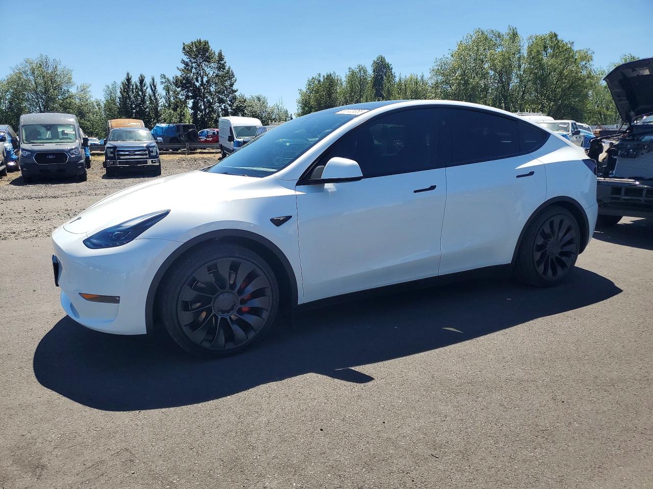 2025 TESLA MODEL Y | 7SAYGDEF8SF232338 | UPCARS