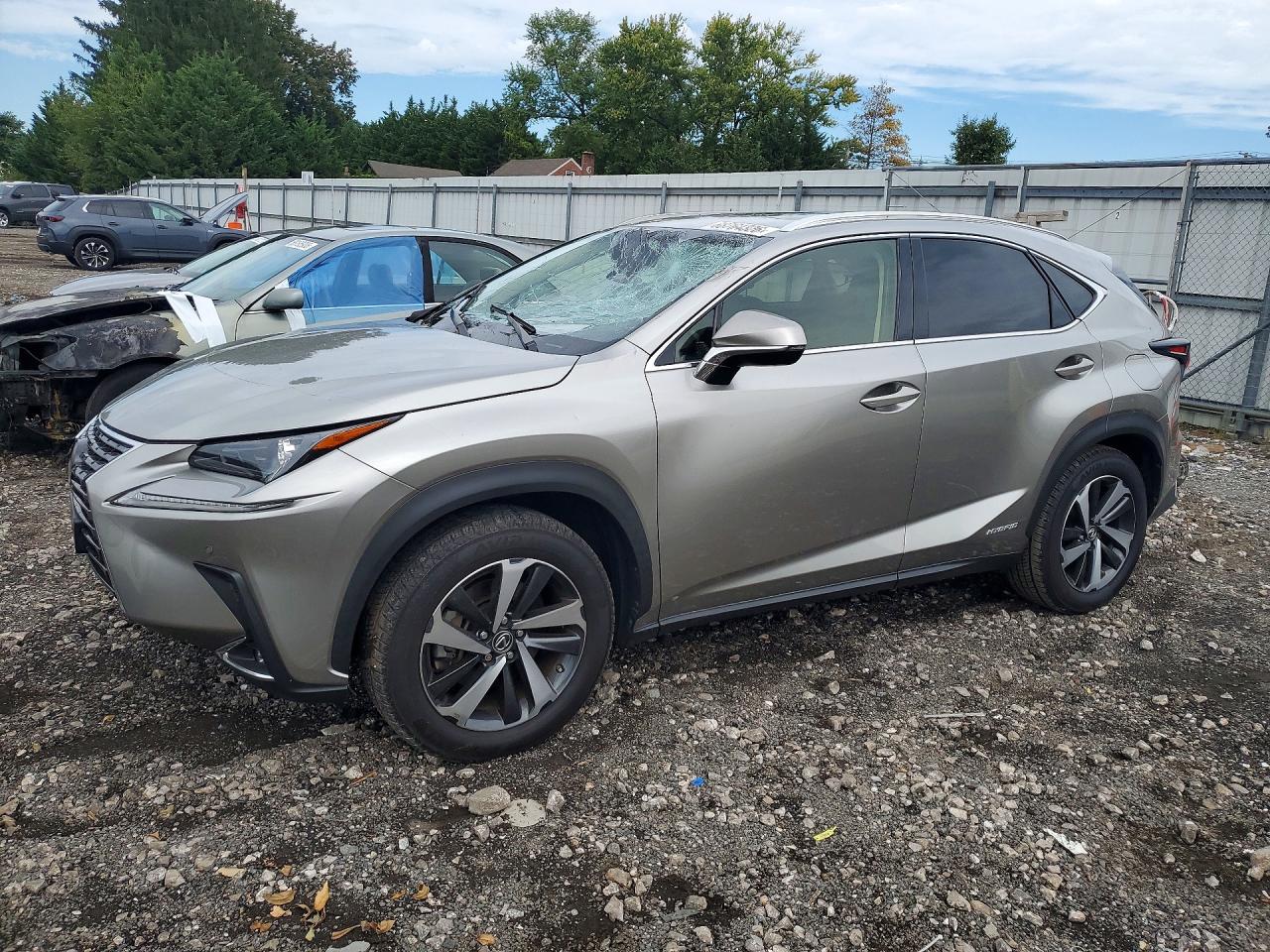 2020 LEXUS NX 300H | JTJGJRDZ4L2133715 | UPCARS