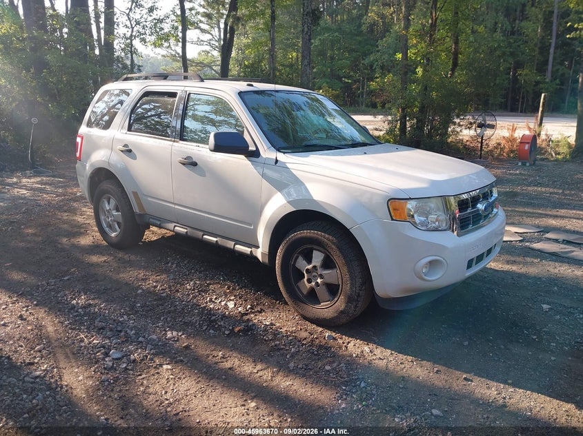 2011 FORD ESCAPE XLT | 1FMCU9D77BKC11583 | UPCARS