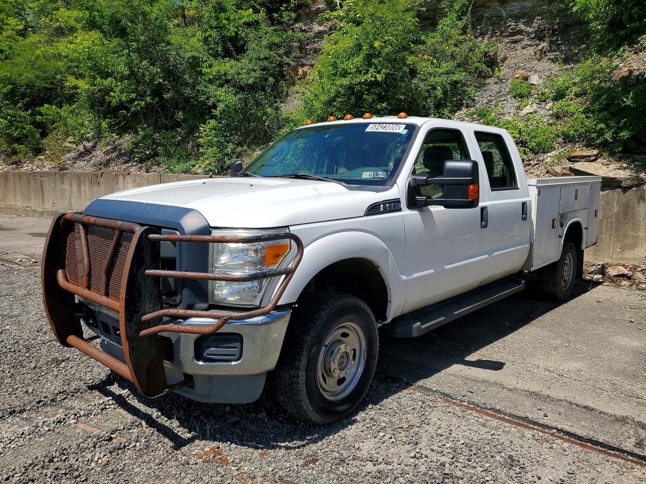 2014 FORD F350 SUPER DUTY | 1FT8W3B6XEEA10047 | UPCARS