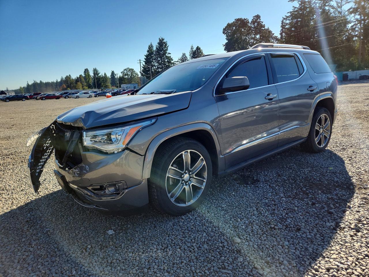 2019 GMC ACADIA DENALI | 1GKKNXLS7KZ218584 | UPCARS