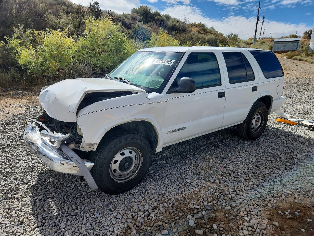 1998 CHEVROLET BLAZER | 1GNDT13W8W2246202 | UPCARS