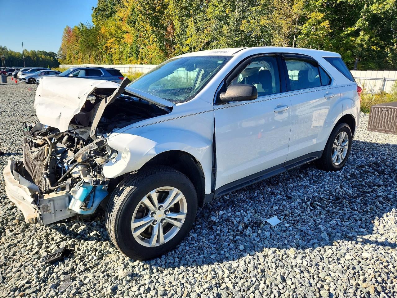 2013 CHEVROLET EQUINOX LS | 2GNALBEK2D1157340 | UPCARS