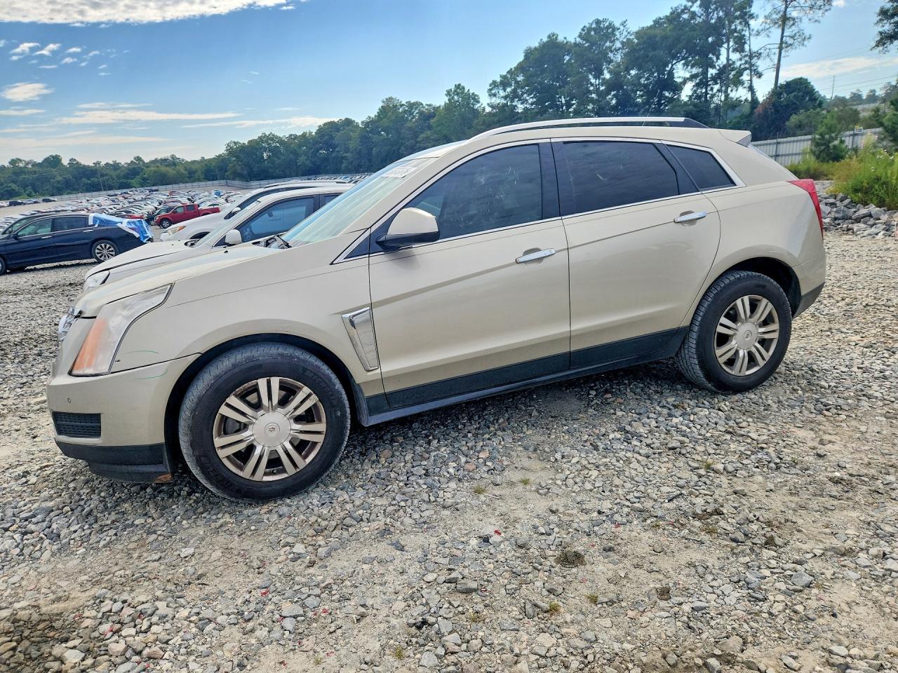 2013 CADILLAC SRX LUXURY COLLECTION | 3GYFNCE35DS619265 | UPCARS