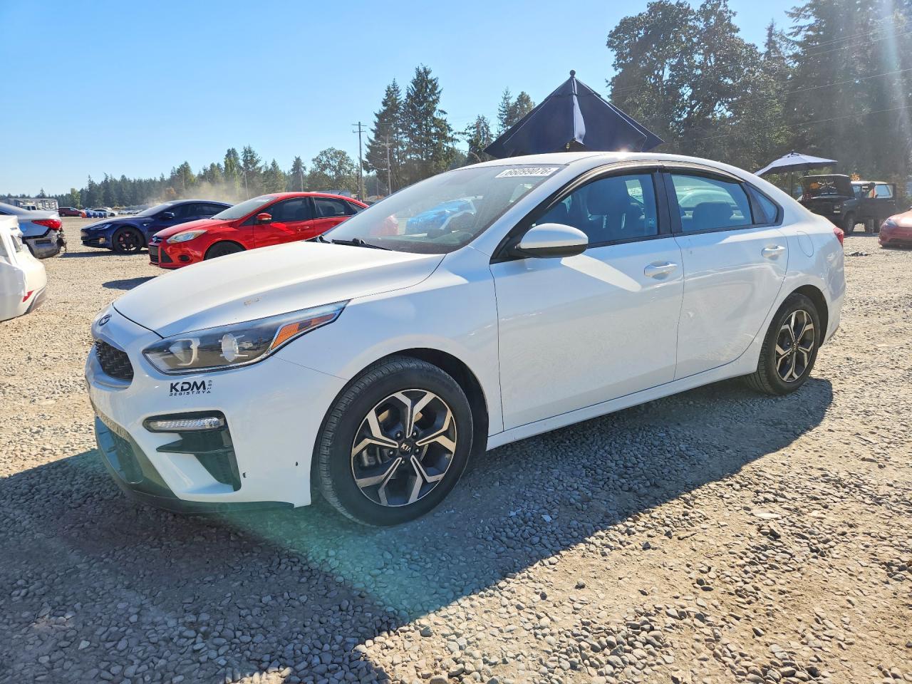 2019 KIA FORTE LXS | 3KPF24AD8KE018852 | UPCARS