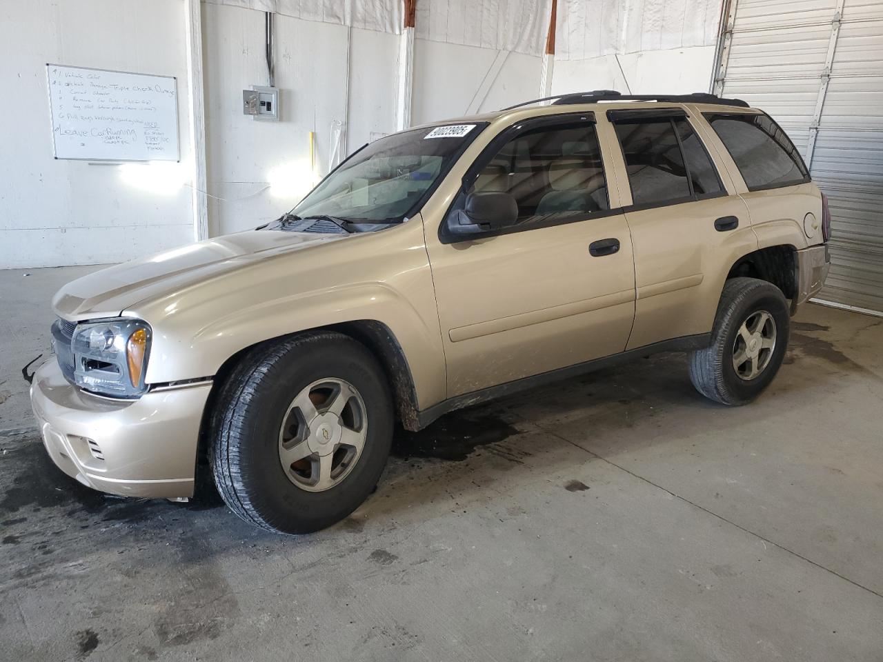 2006 CHEVROLET TRAILBLZR LS | 1GNDT13S762260606 | UPCARS