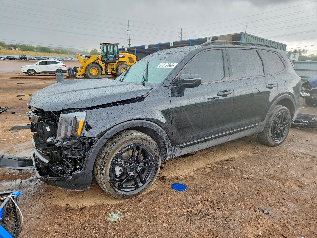 2025 KIA TELLURIDE SX X-LINE | 5XYP5DGC1SG698171 | UPCARS