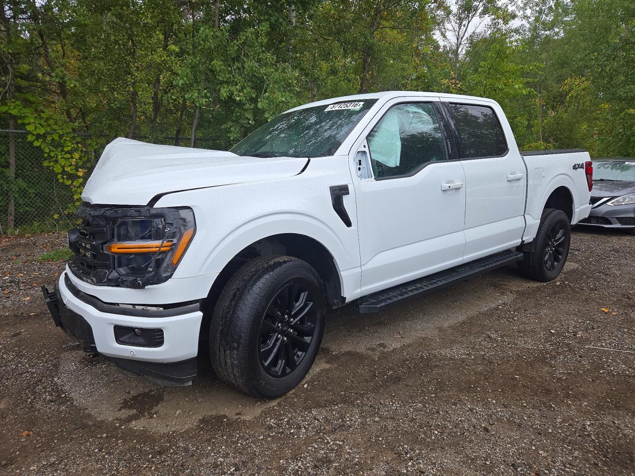 2024 FORD F150 XLT | 1FTFW3L5XRFB84469 | UPCARS