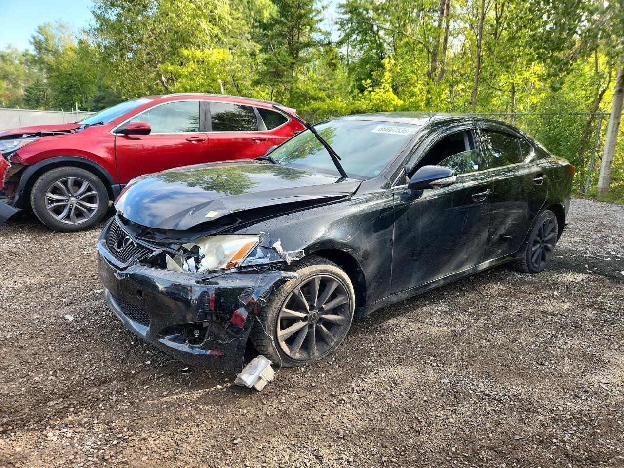 2010 LEXUS IS 250 | JTHCF5C24A5041174 | UPCARS