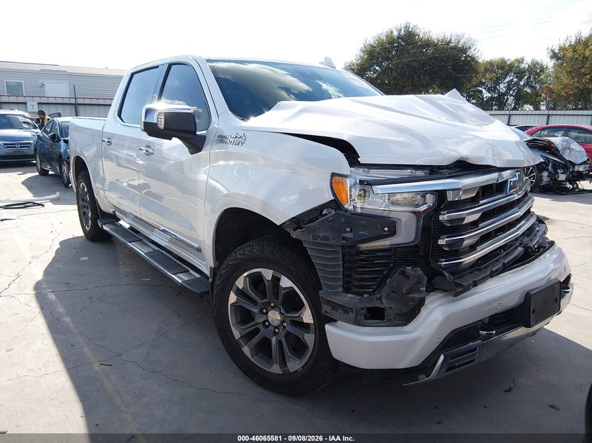 2023 CHEVROLET SILVERADO 1500 | 1GCUDJED6PZ176841 | UPCARS