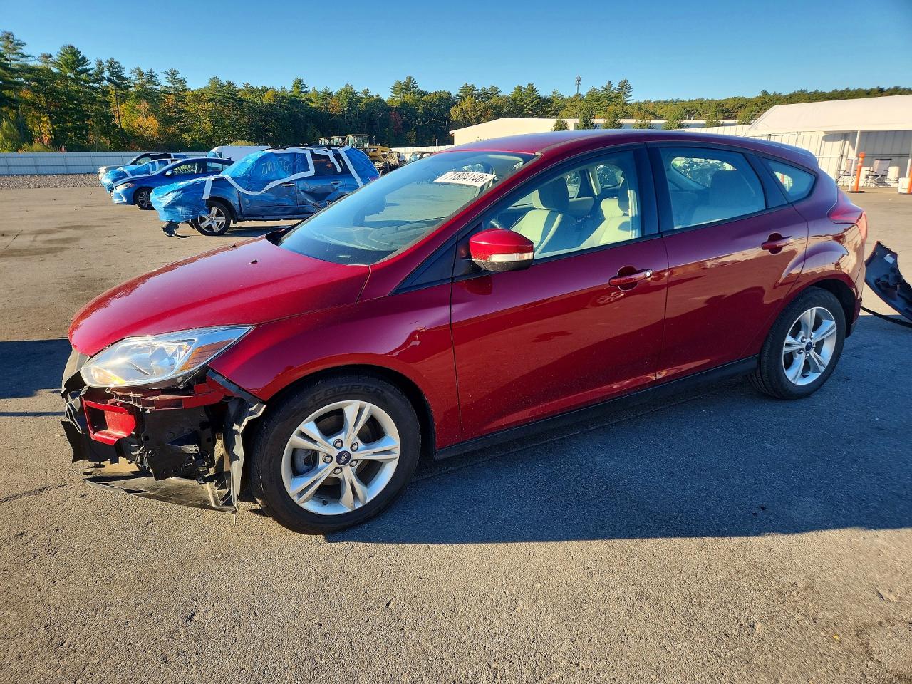 2013 FORD FOCU SE | 1FADP3K25DL325654 | UPCARS