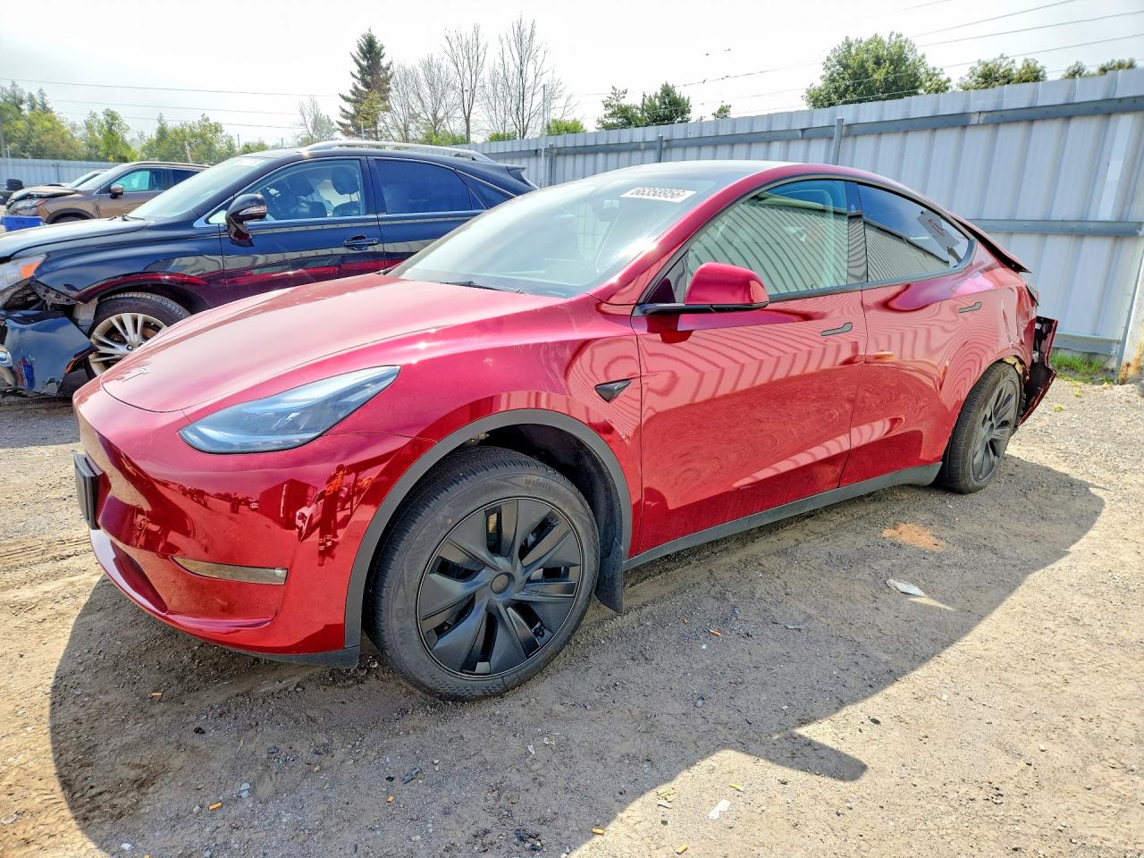 2025 TESLA MODEL Y | 7SAYGDEE7SF286205 | UPCARS