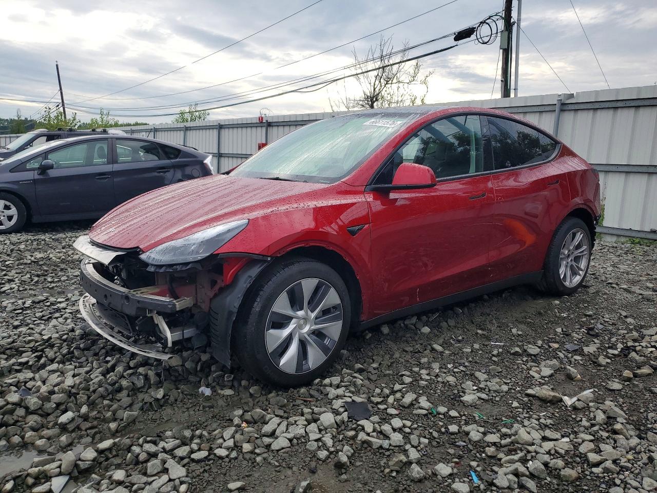 2024 TESLA MODEL Y | 7SAYGDEE2RF083569 | UPCARS