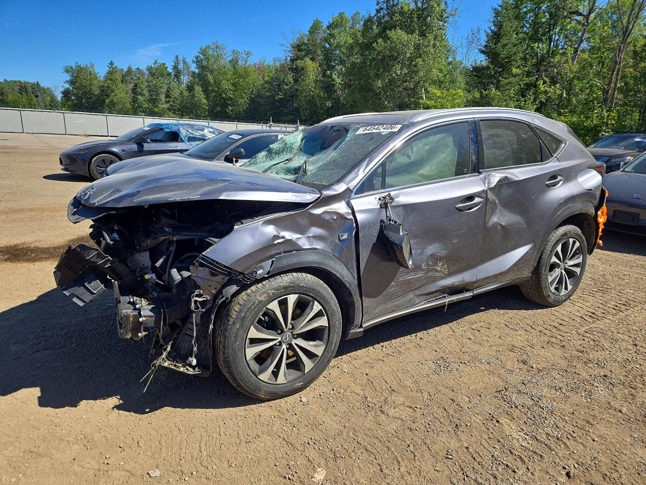 2019 LEXUS NX 300 BASE | JTJBARBZ2K2210268 | UPCARS
