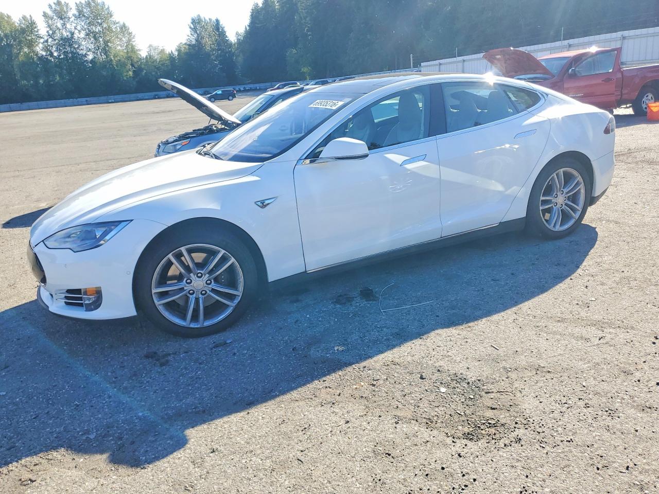 2014 TESLA MODEL S | 5YJSA1H13EFP55936 | UPCARS