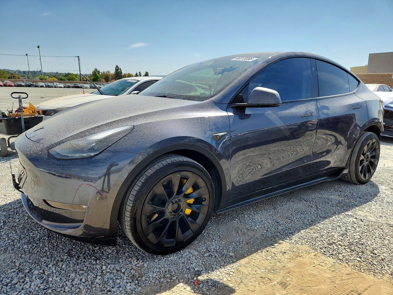 2023 TESLA MODEL Y | 7SAYGDEEXPF907881 | UPCARS