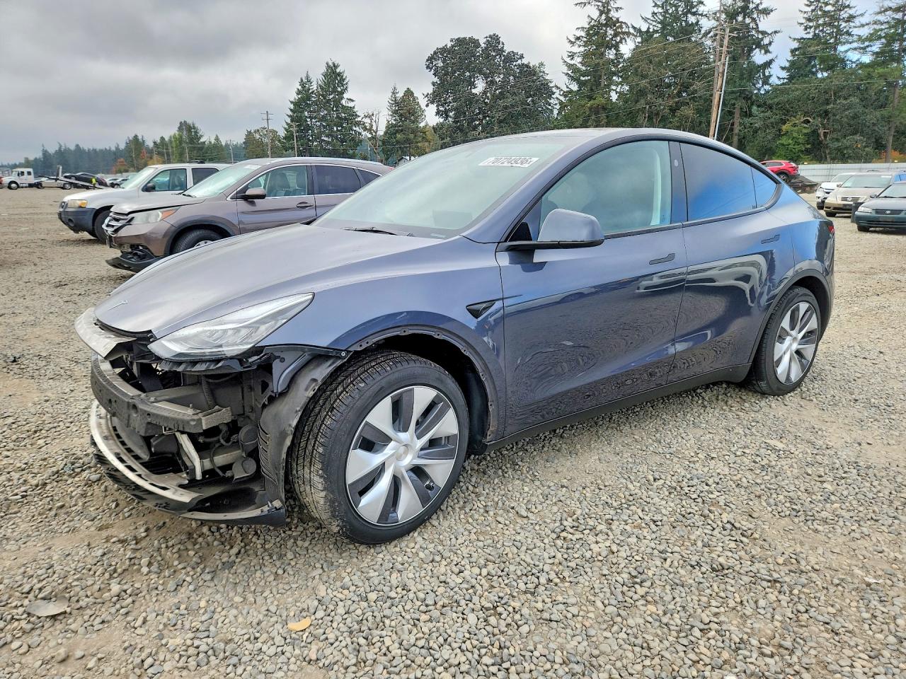 2023 TESLA MODEL Y | 7SAYGDEE2PA120856 | UPCARS