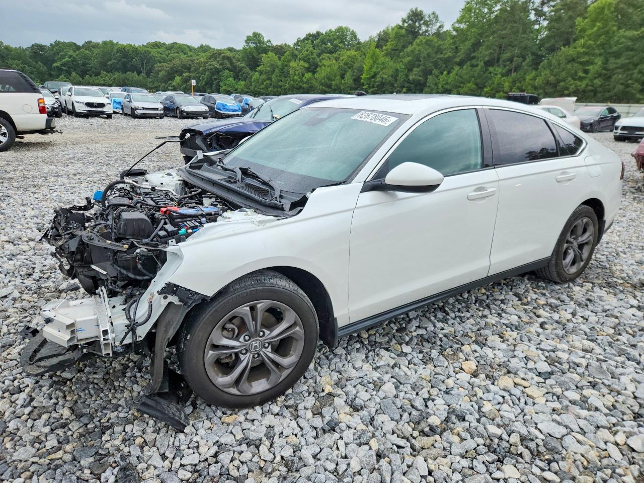 2024 HONDA ACCORD EX | 1HGCY1F3XRA055352 | UPCARS