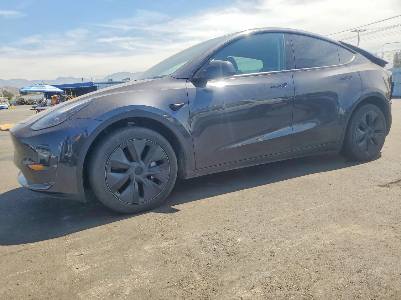 2024 TESLA MODEL Y | 7SAYGDEE8RF167654 | UPCARS