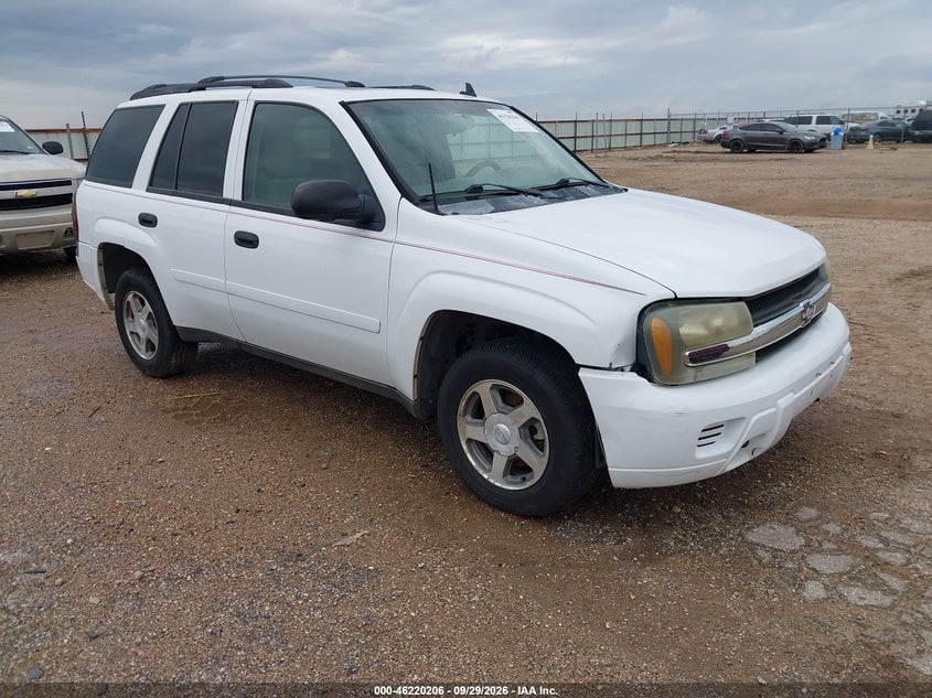 2006 CHEVROLET TRAILBLAZER LS | 1GNDT13SX62236753 | UPCARS