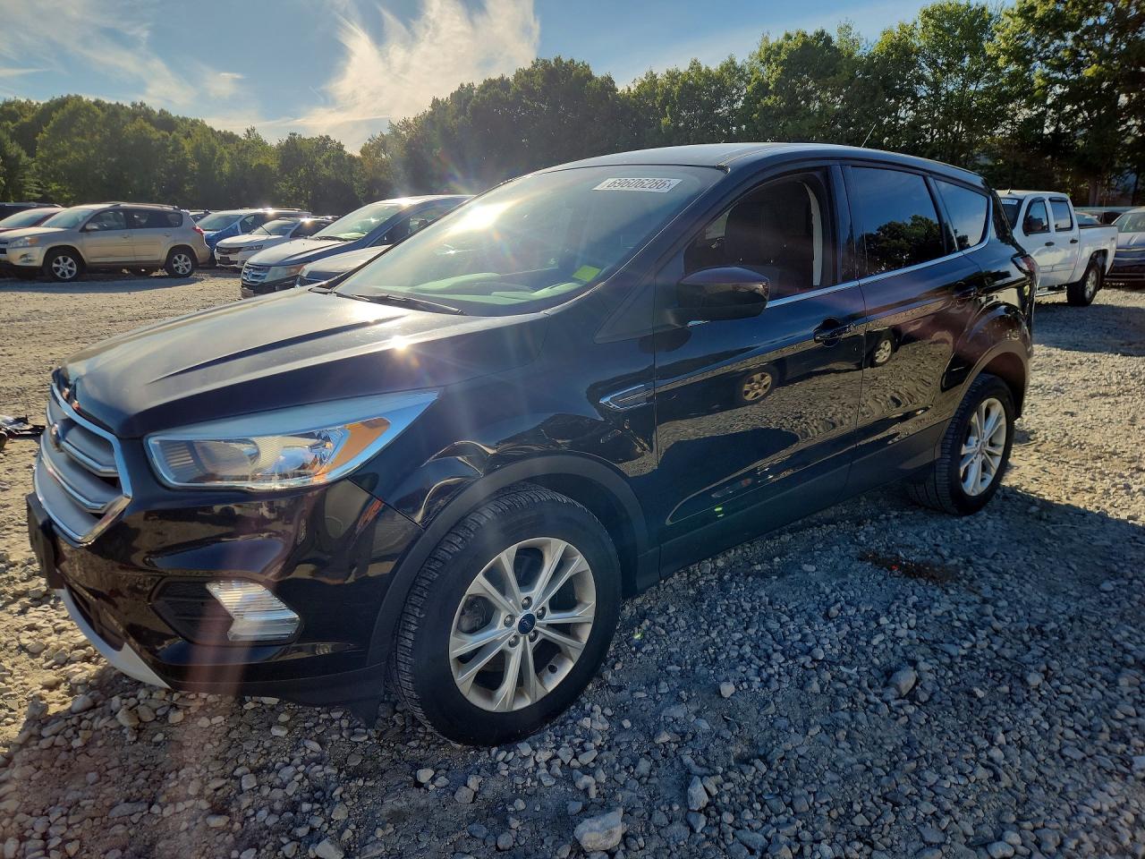 2017 FORD ESCAPE SE | 1FMCU9GDXHUD01552 | UPCARS