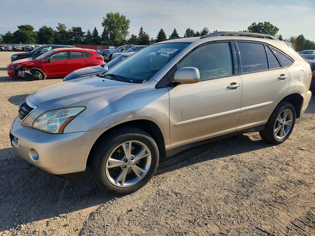 2006 LEXUS RX 400 | JTJHW31U060003054 | UPCARS