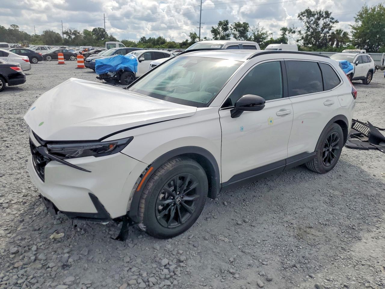 2025 HONDA CRV SPORT-L | 7FARS5H89SE015226 | UPCARS