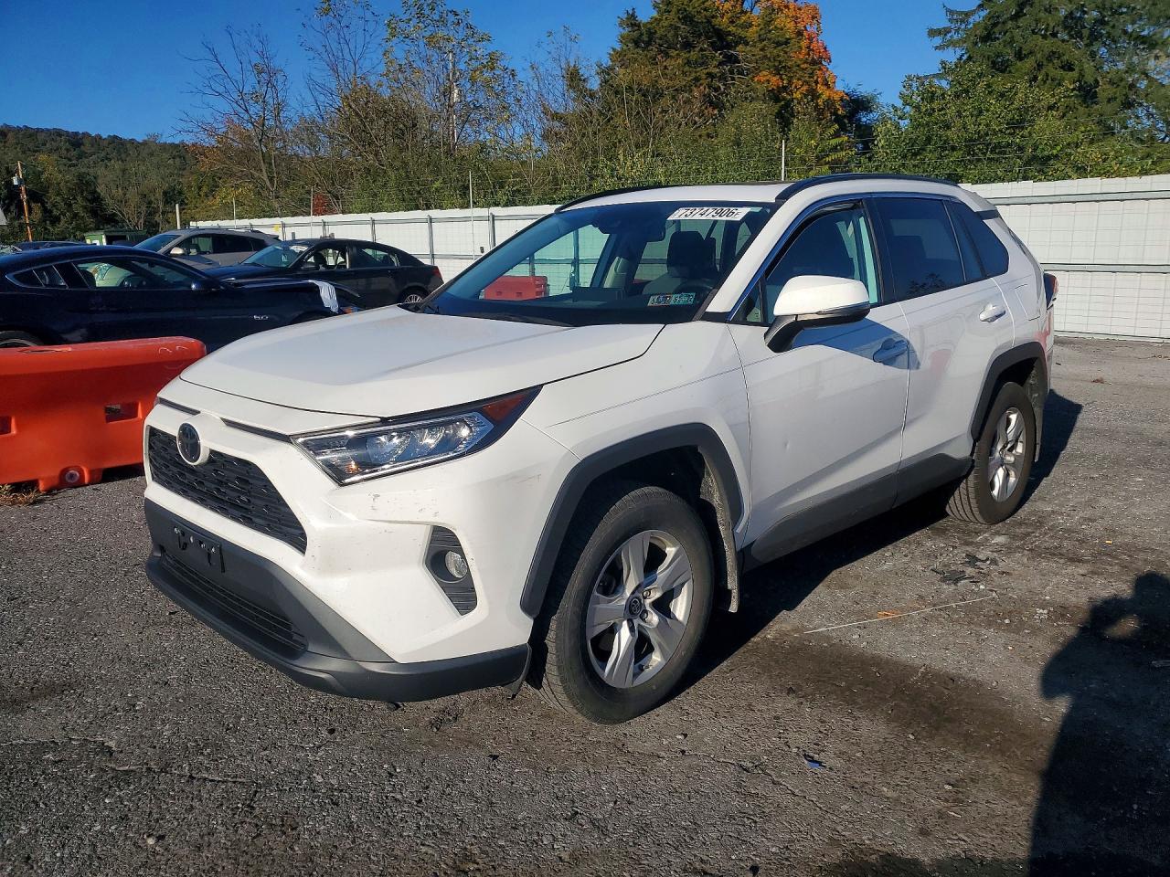 2019 TOYOTA RAV4 XLE | 2T3P1RFV7KW062870 | UPCARS