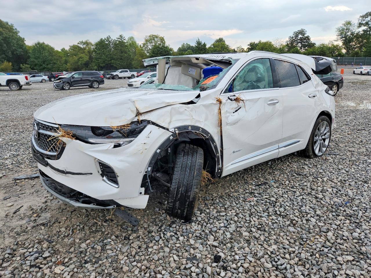 2023 BUICK ENVISION AVENIR | LRBFZRR43PD078820 | UPCARS