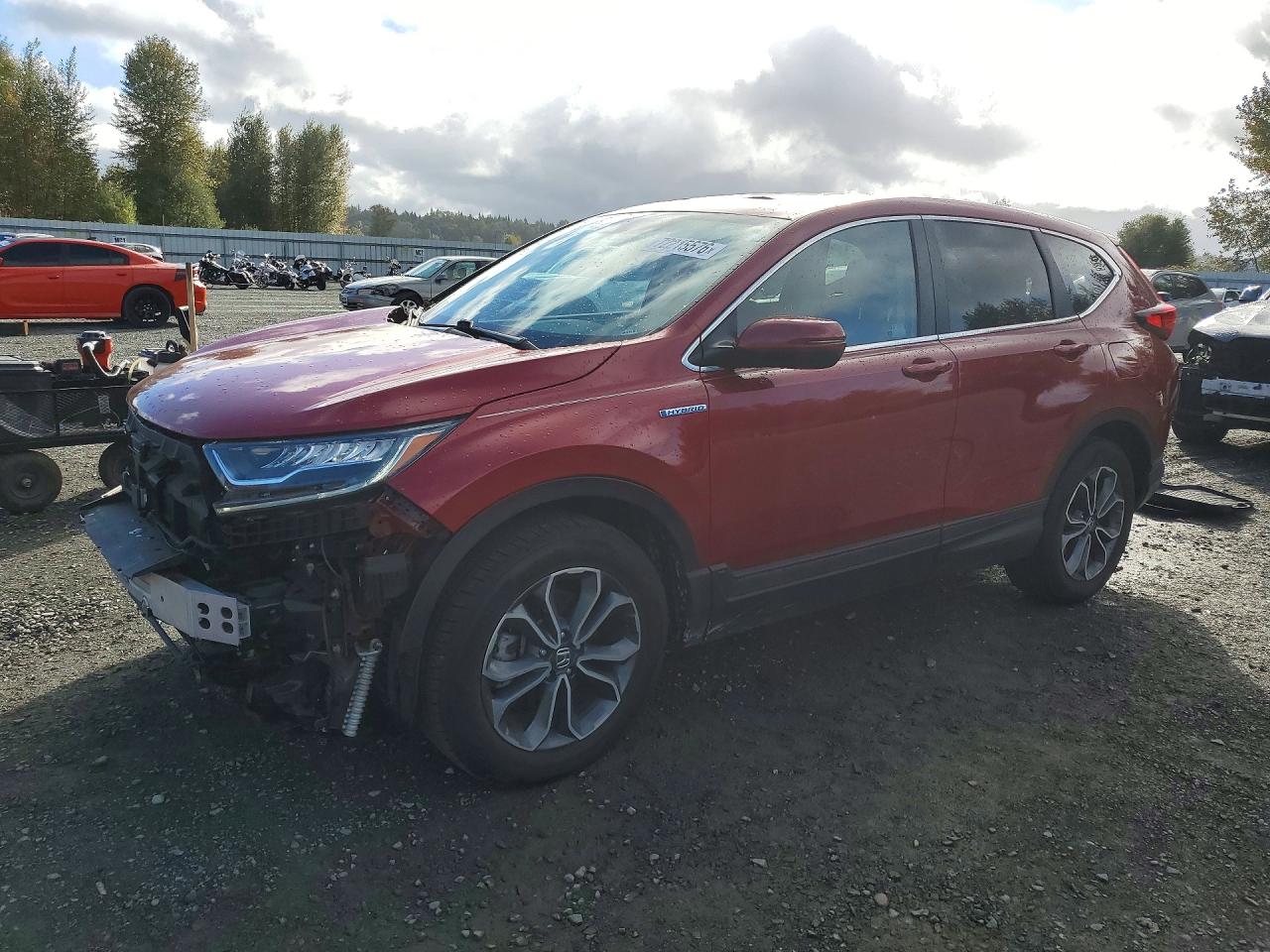 2022 HONDA CRV EXL | 5J6RT6H81NL023279 | UPCARS