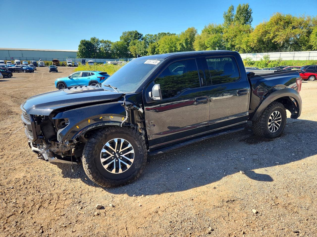 2020 FORD F150 RAPTOR | 1FTFW1RG7LFC75087 | UPCARS