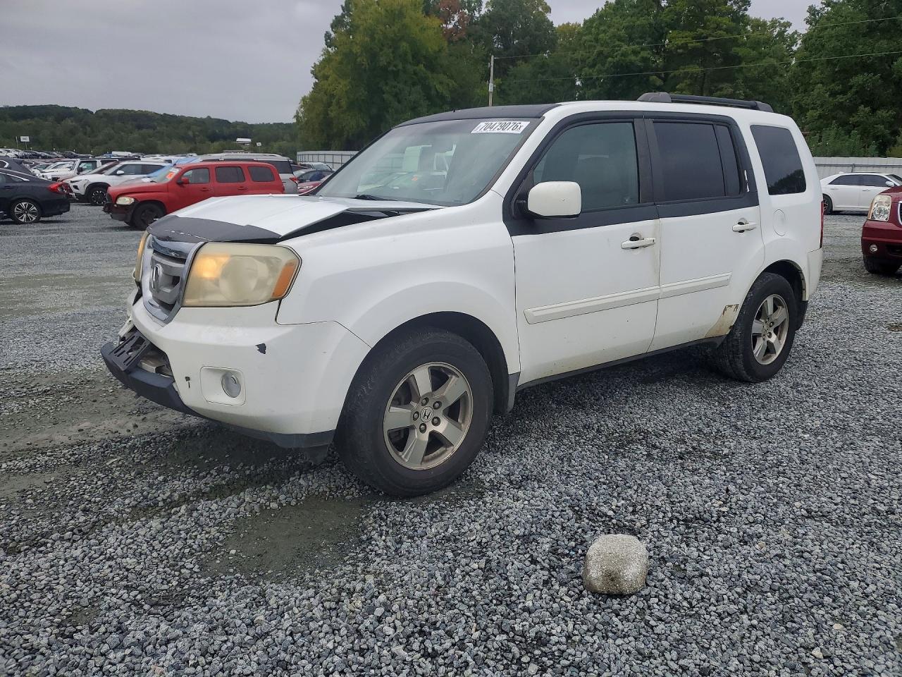 2009 HONDA PILOT EXL | 5FNYF48529B046212 | UPCARS