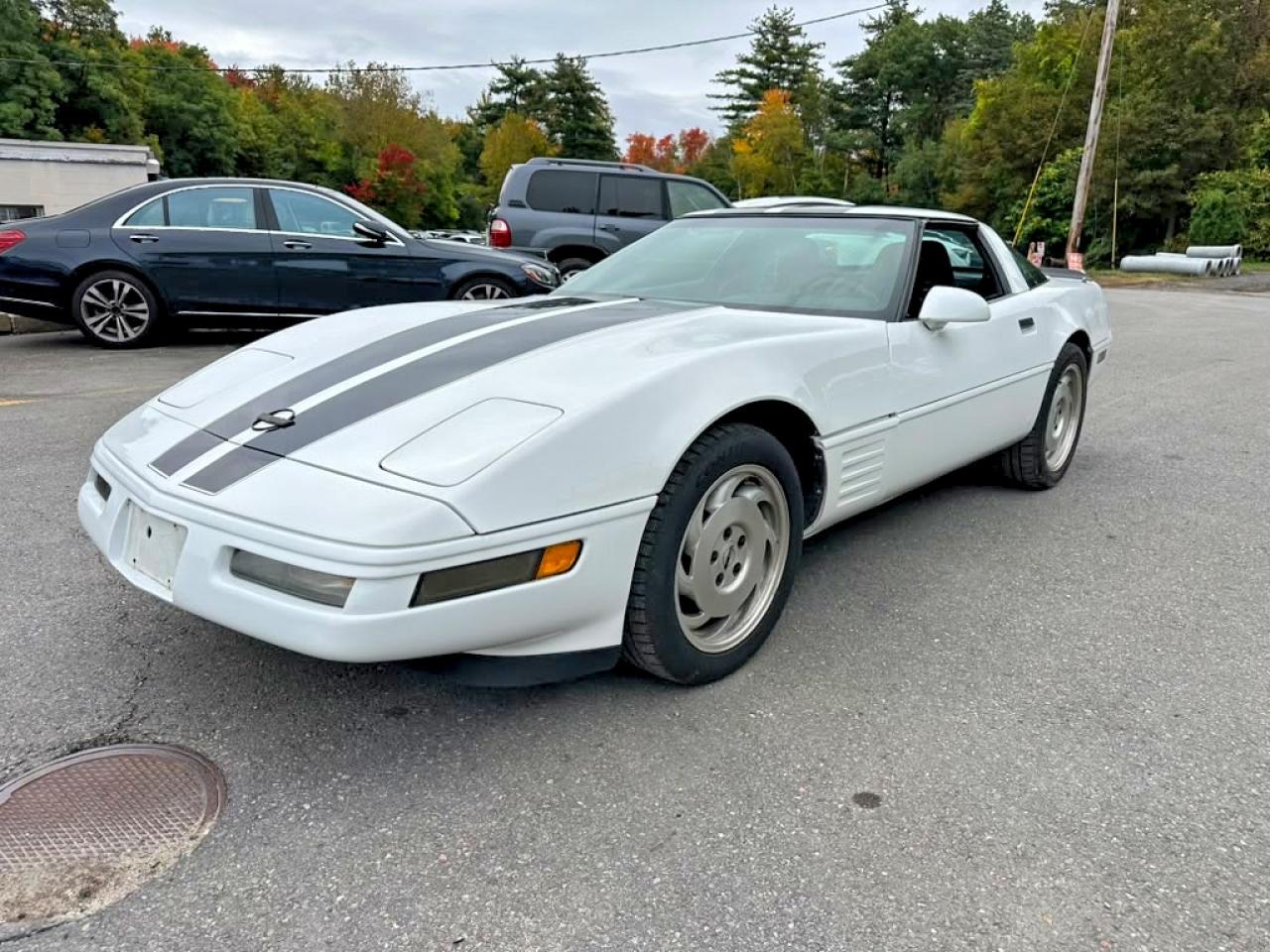 1994 CHEVROLET CORVETTE | 1G1YY22P0R5108807 | UPCARS