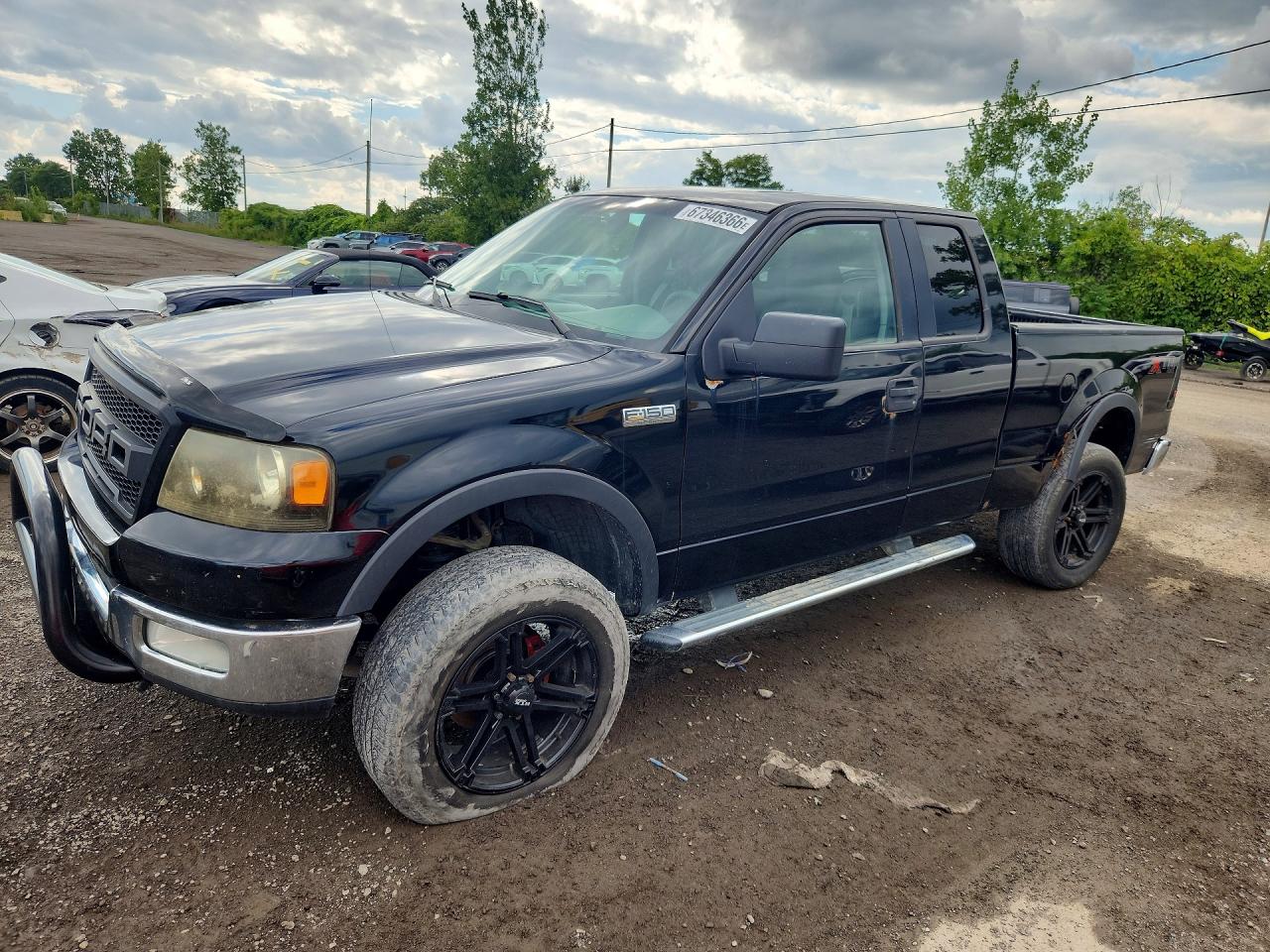 2005 FORD F150 | 1FTPX145X5NB95637 | UPCARS