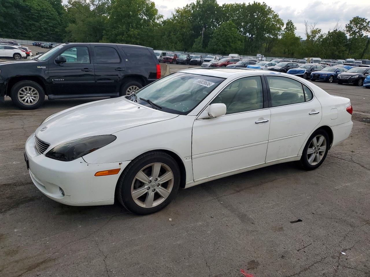 2005 LEXUS ES 330 | JTHBA30G155091261 | UPCARS