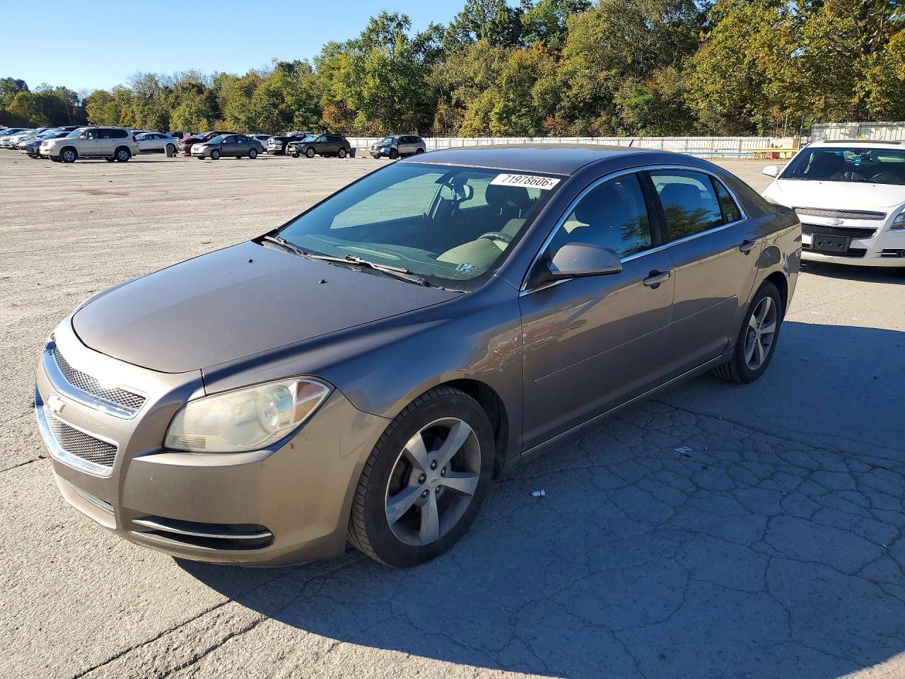 2011 CHEVROLET MALIBU 1LT | 1G1ZC5E11BF374879 | UPCARS