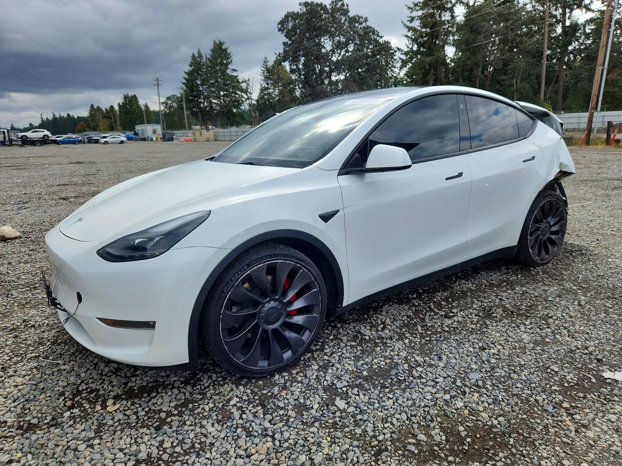 2023 TESLA MODEL Y | 7SAYGDEF1PF664230 | UPCARS