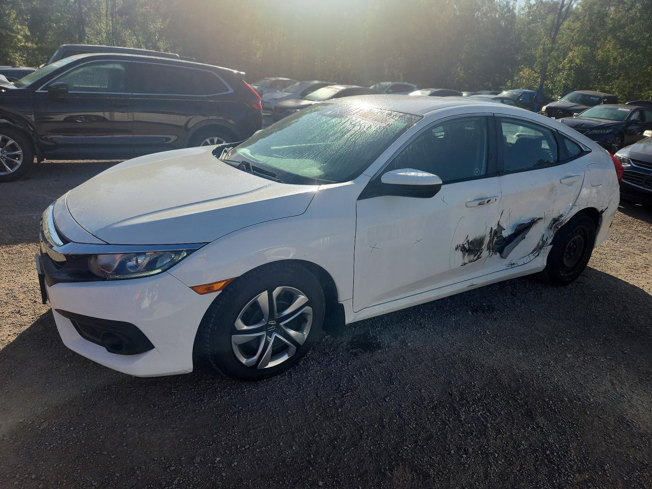2017 HONDA CIVIC LX | 2HGFC2F68HH013791 | UPCARS