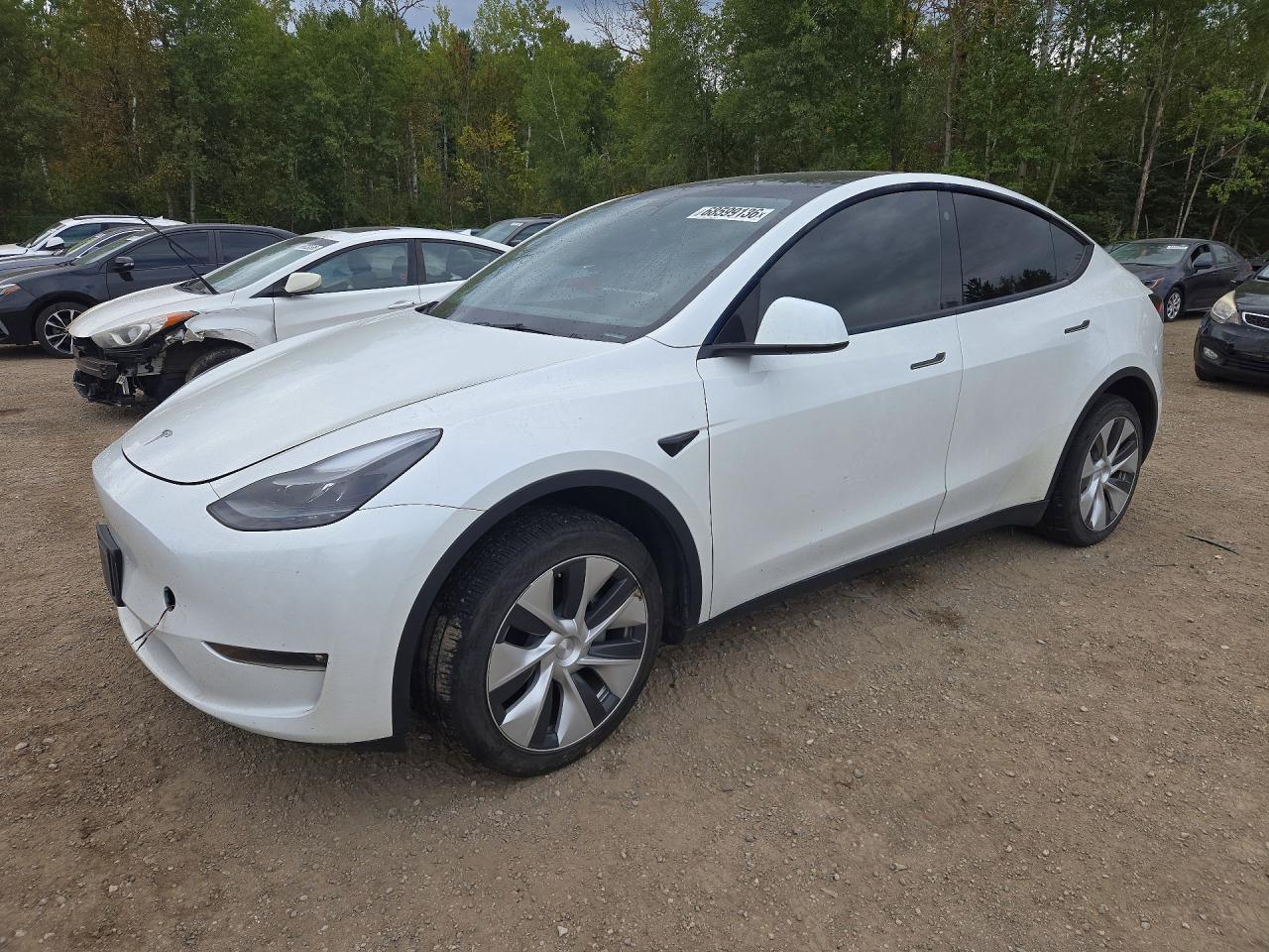 2023 TESLA MODEL Y | 7SAYGDEE1PF779238 | UPCARS