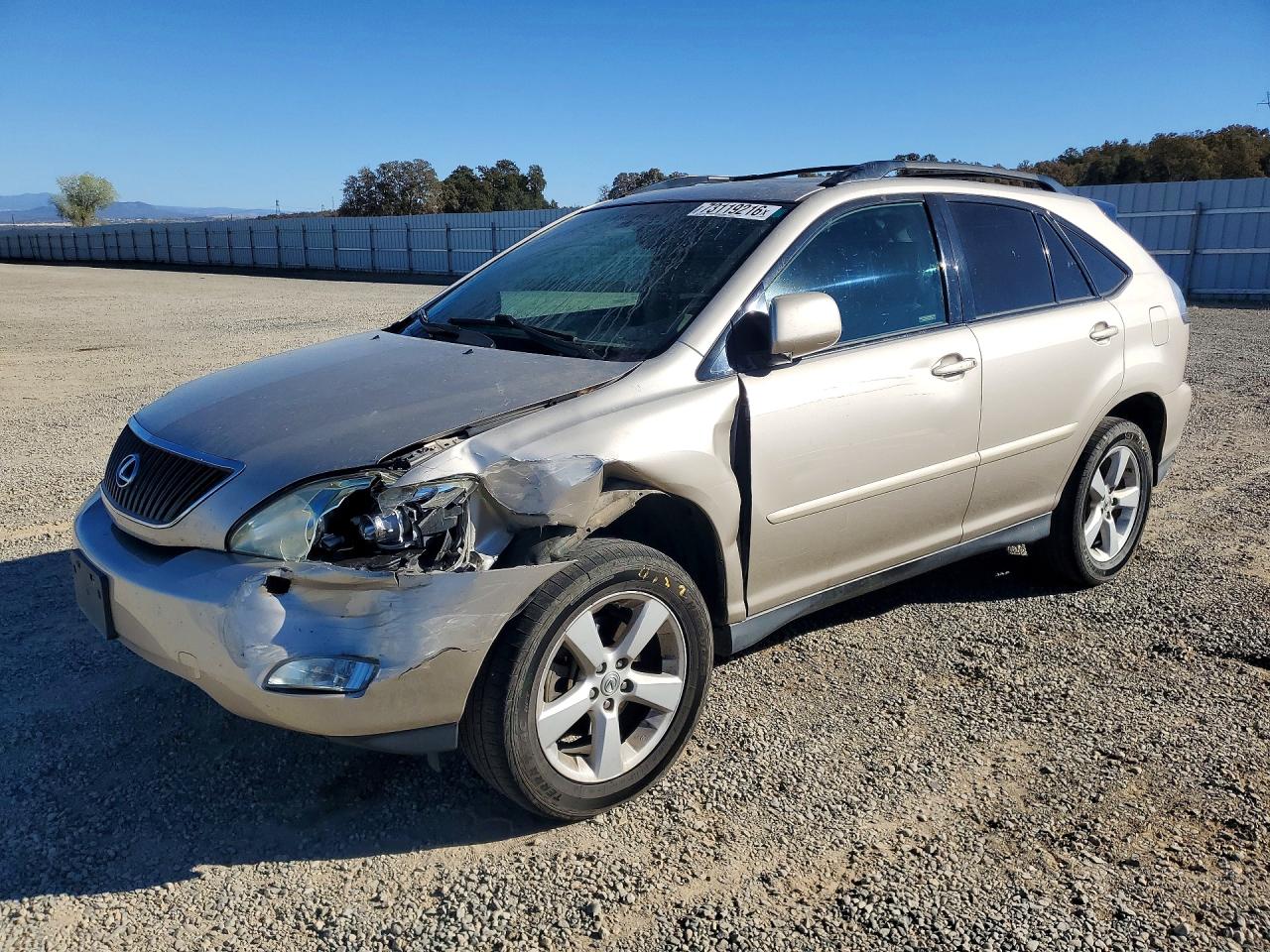 2007 LEXUS RX 350 | 2T2HK31U87C046056 | UPCARS